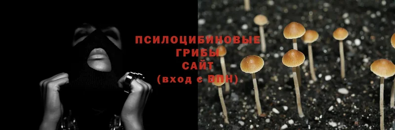 цены   МЕГА как зайти  Псилоцибиновые грибы Psilocybine cubensis  Кириллов 